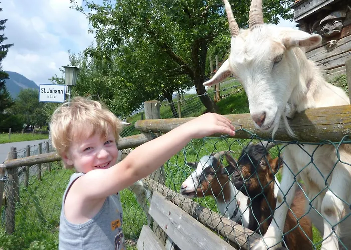 Exklusiv Hofer サンクト・ジョアン・イン・チロル