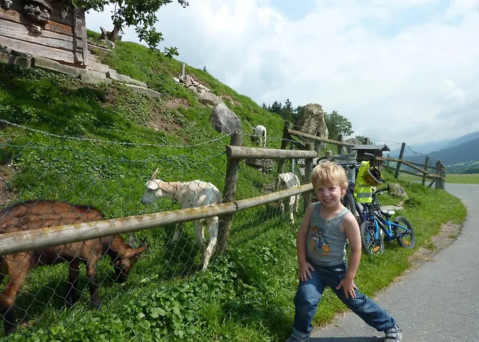 Exklusiv Hofer アパート *